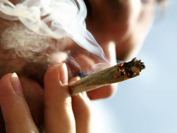 drogy_marihuana_trava_hradec_denik_clanek_solo.jpg