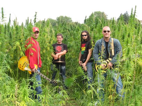 marihuana2.jpg